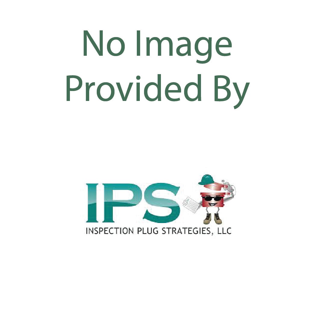 IPS SYSTEM V INSPECT PLUG SILICONE W/SS LANYARD 2.5" (100)